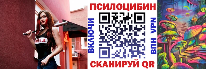 кракен ТОР  Чегем  Галлюциногенные грибы Cubensis 