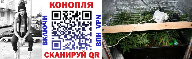 МАРИХУАНА MAZAR Чегем
